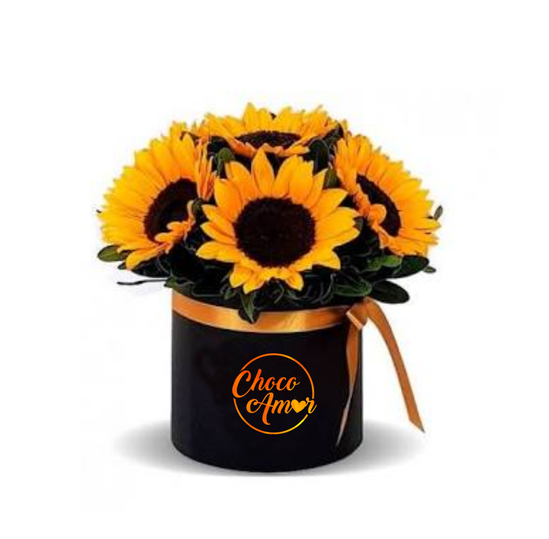 Box de Girasoles Grandes